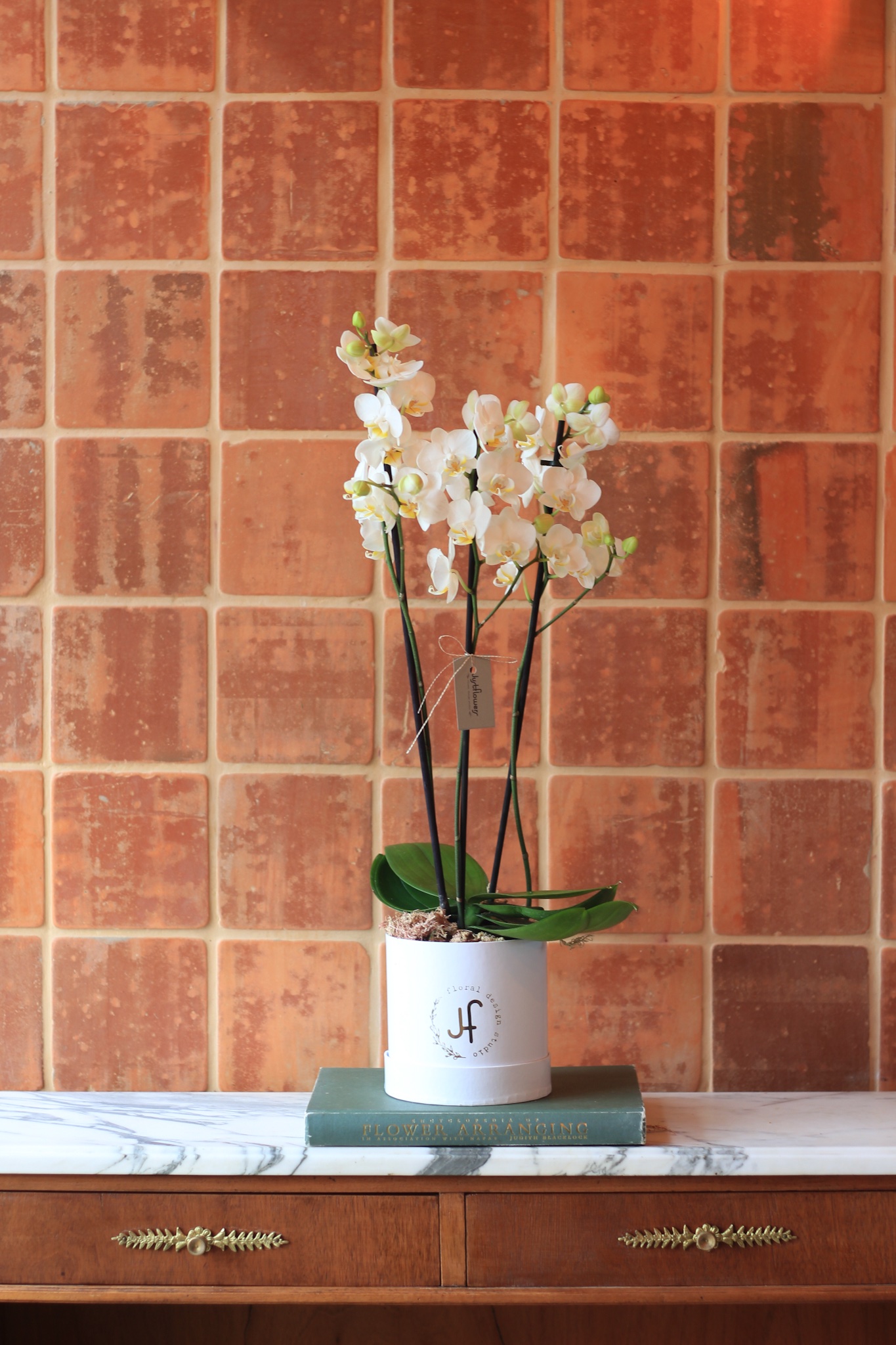 Justflowers 2 Img 4101